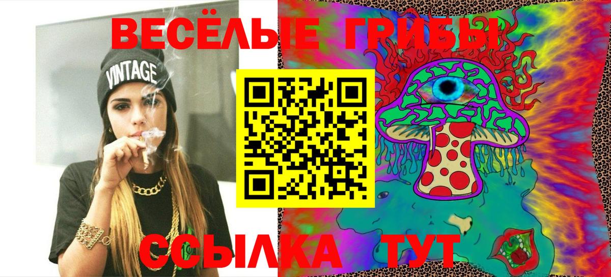 Галлюциногенные грибы Psilocybine cubensis Новороссийск